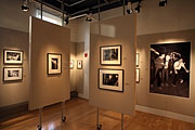 webassets/GAC_Gallery_View.jpg